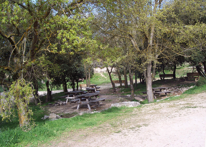 Encinas de Esgueva, pueblo castellano